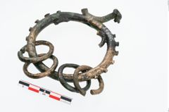Foto von Bronzegehänge (NHMW-PRAE-024986)